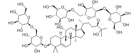 product-469-181 product-469-181