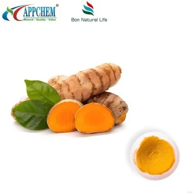 Curcumin u prahu HPLC95%; Kurkuminoidi; Ekstrakt kurkume