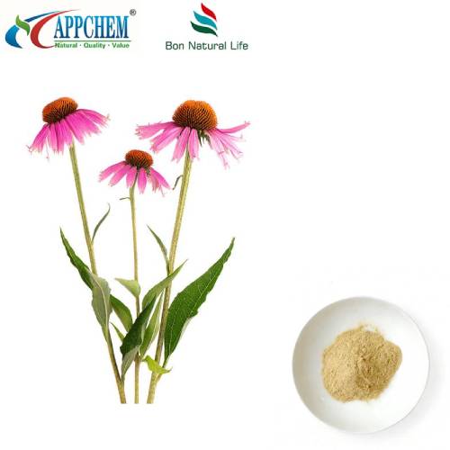 Echinacea purpurea ekstrakt u prahu