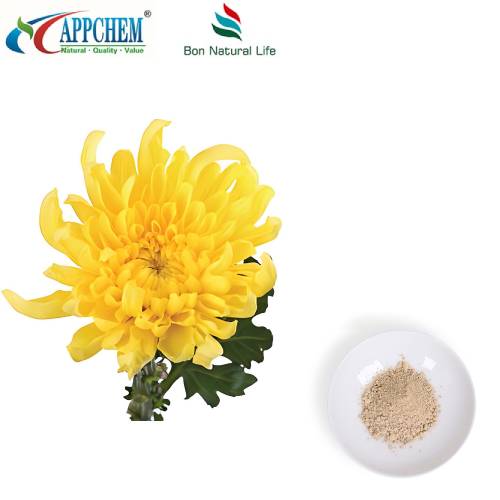 Flos Chrysanthemi ekstrakt u prahu