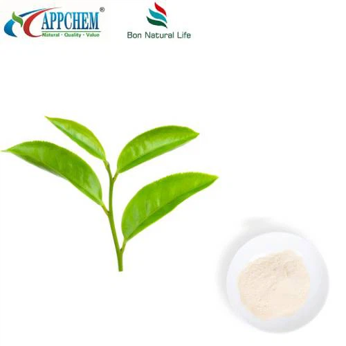 Ekstrakt zelenog čaja L-theanine