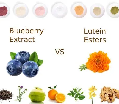 Ekstrakt borovnice u odnosu na estere luteina: Što bolje podržava zdravlje vida?