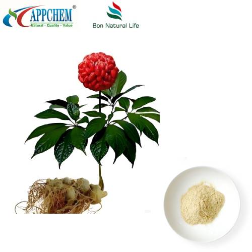 Ekstrakt korijena Notoginseng