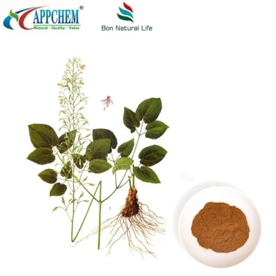 Horny Goat Weed u prahu
